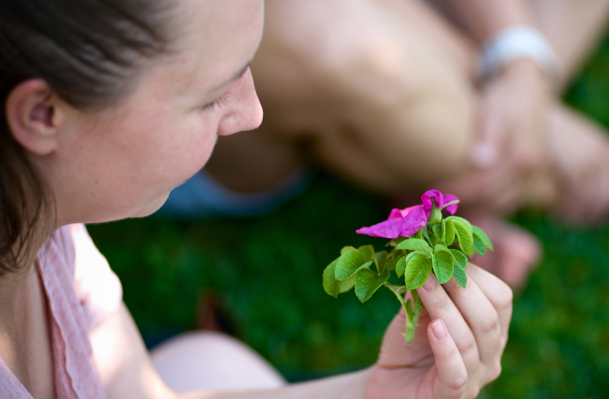 Die Blumenwelt von nahem betrachten