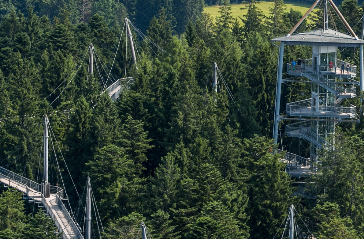 Herbstliche Ausblicke vom skywalk